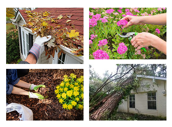 gutter trim mulch ouch